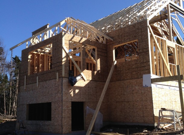 <span>Framing:</span> April 1013 405.JPG