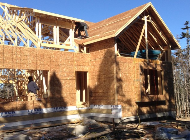 <span>Sheathing:</span> April 1013 407.JPG